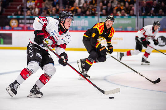 Malmö Redhawks Petter Vesterheim