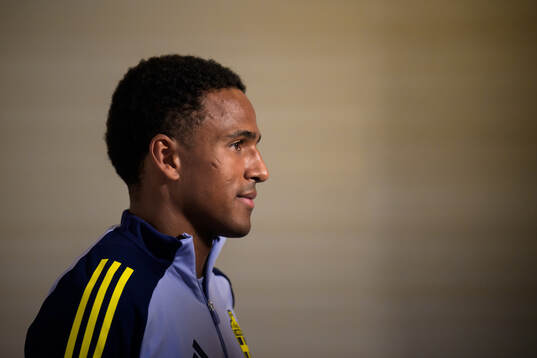 Niclas Eliasson of the Swedish men's national football team