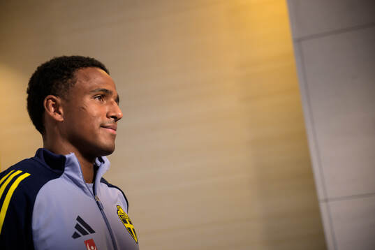 Niclas Eliasson of the Swedish men's national football team