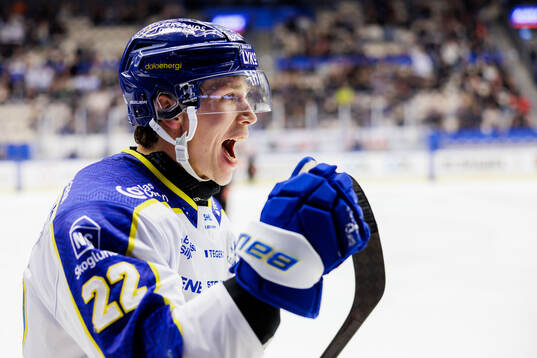 Leksands Lukas Vejdemo jublar