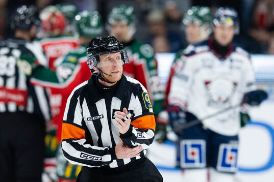 Domare Mikael Holm