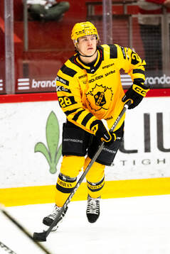 Skellefteås Michael Brandsegg-Nygård