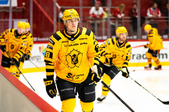 Skellefteås Michael Brandsegg-Nygård
