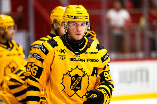 Skellefteås Rickard Hugg