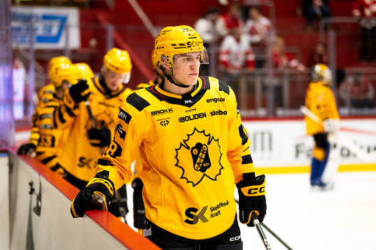 Skellefteås Michael Brandsegg-Nygård