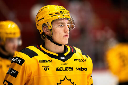Skellefteås Michael Brandsegg-Nygård