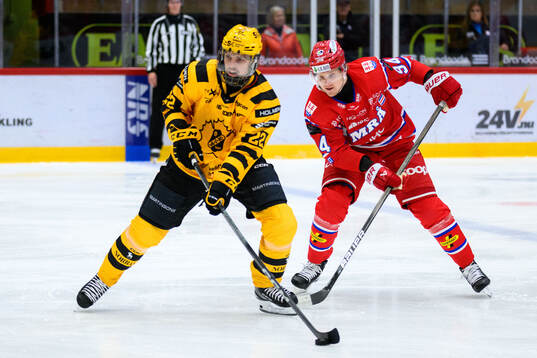 Skellefteås Jonathan Johnson och Timrås Sebastian Hartmann