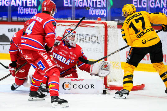 Timrås målvakt Tim Juel och Skellefteås Pär Lindholm