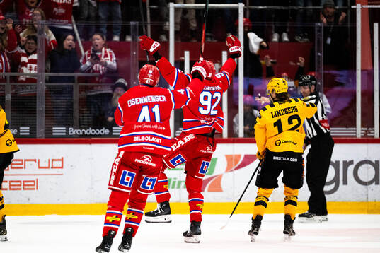 Timrås Anton Lundmark jublar