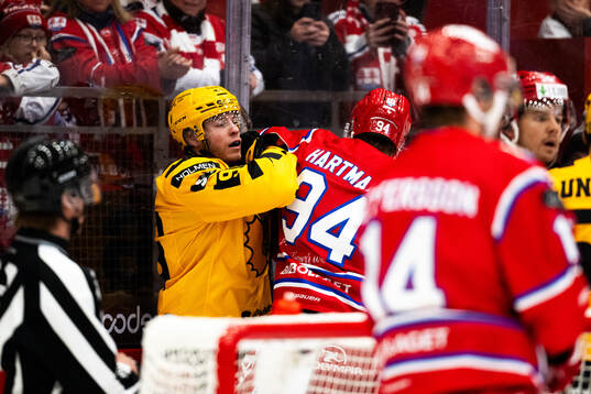 Skellefteås Rickard Hugg och Timrås Sebastian Hartmann