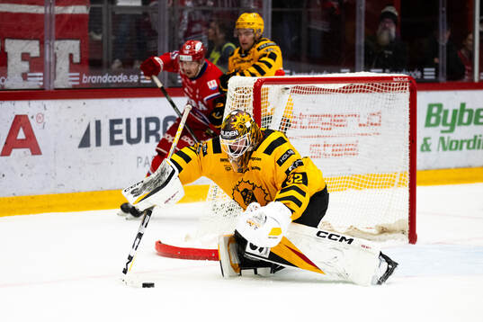 Skellefteås målvakt Linus Söderström
