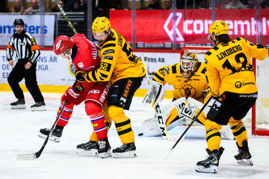 Timrås Filip Hållander och Skellefteås Arvid Lundberg