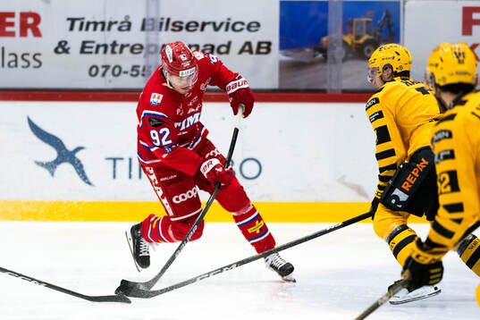 Timrås Anton Lundmark