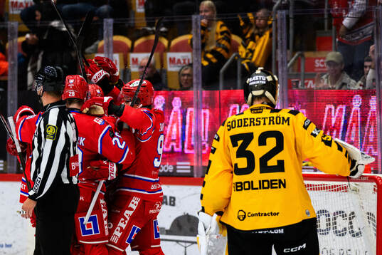 Timrås Anton Wedin jublar