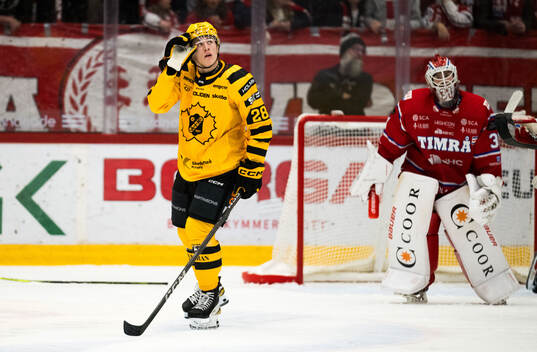 Skellefteås Michael Brandsegg-Nygård