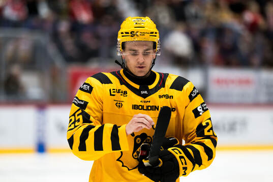 Skellefteås Pontus Johansson