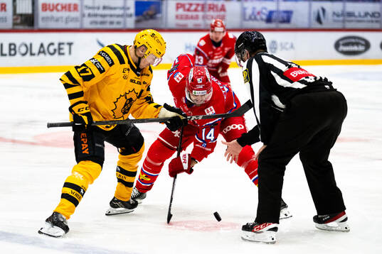 Skellefteås Pär Lindholm och Timrås Emil Pettersson