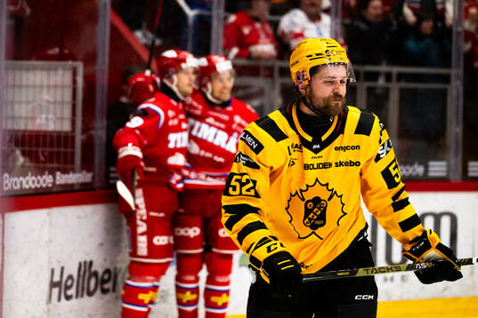Skellefteås Arvid Lundberg deppar