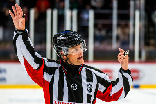 Domare Mikael Nord