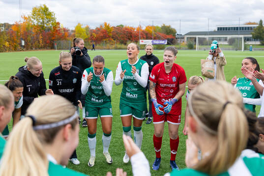 Alingsås spelare jublar över avancemanget till