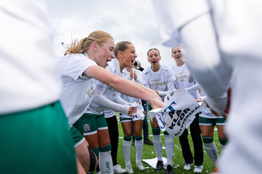 Alingsås spelare jublar över avancemanget till