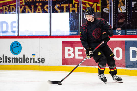 Brynäs Viktor Persson