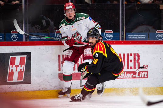 MoDos Paul Ladue och Brynäs Tyler Vesel