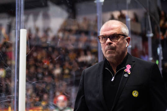 Brynäs assisterande tränare Anders Carlsson