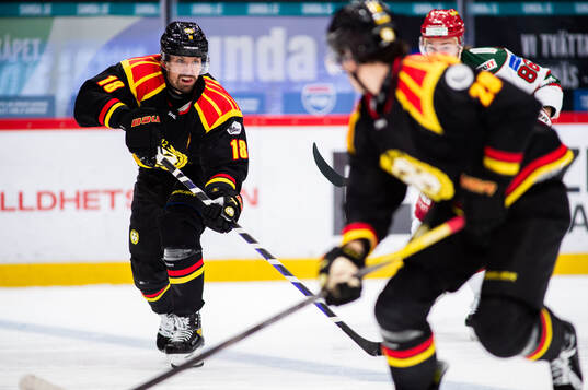 Brynäs Anton Rödin