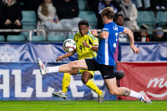Niclas Eliasson of Sweden and Michael Schjønning-Larsen of