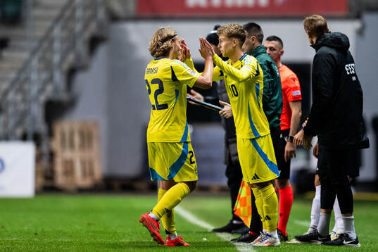 Sebastian Nanasi and Hugo Bolin of Sweden