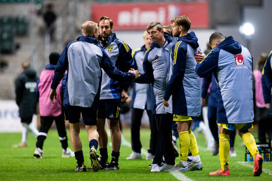 Head coach Jon Dahl Tomasson of Sweden