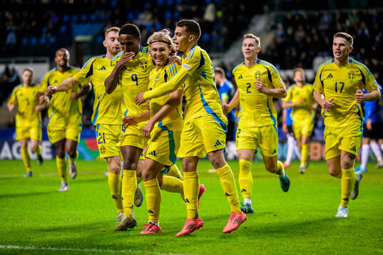 Bläddra bland fler bilder av Football, Nations League, Estonia - Sweden