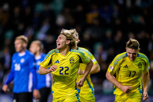 Sebastian Nanasi of Sweden celebrates the 0-1 goal