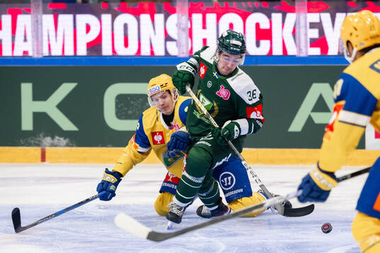 Martin Rönnild of Storhamar and Wille Johansson of