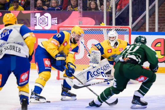 goaltender Markus Röhnebaek Stensrud of Storhamar