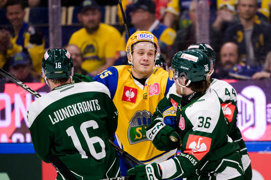 Axel Sandnes of Storhamar in fight with Alexander