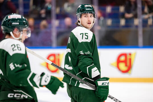 Jeremy Groleau of Färjestad  looks dejected