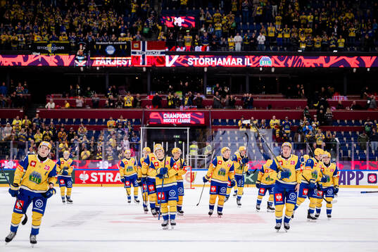 Players of Storhamar
