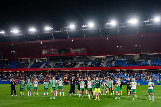 Players of Hammarby