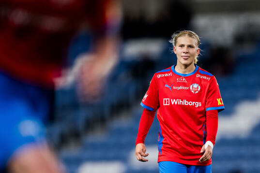 Helsingborgs Alma Larsson