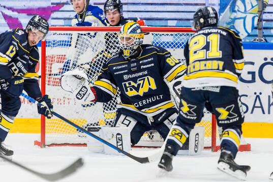HV71s målvakt Frederik Dichow