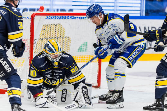 HV71s målvakt Frederik Dichow och Leksands Patrik