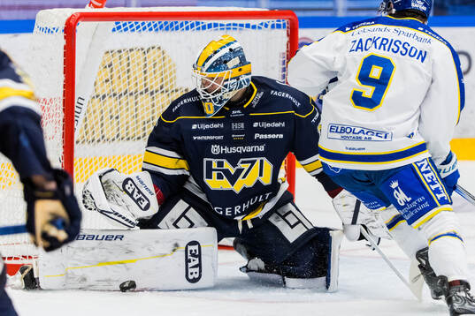 HV71s målvakt Frederik Dichow