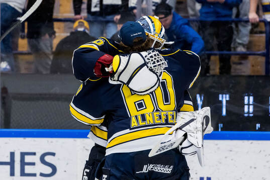 HV71s målvakt Frederik Dichow jublar med målvakt Hugo