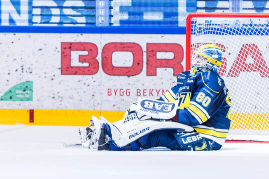 HV71s målvakt Frederik Dichow