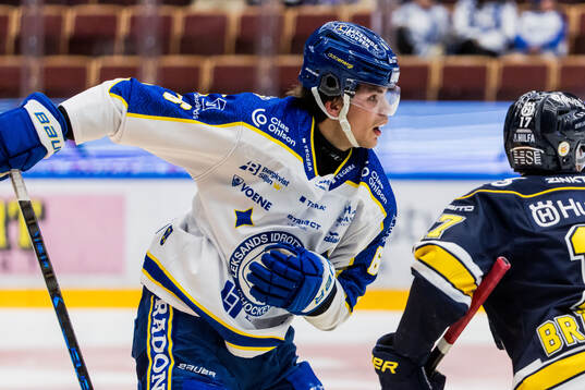 Leksands Alexander Lundqvist