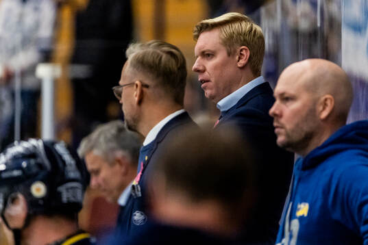 HV71s tränare Anton Blomqvist