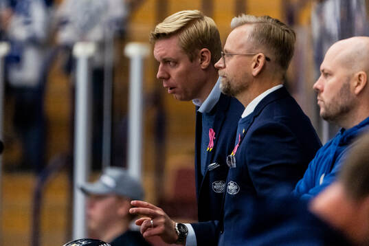 HV71s tränare Anton Blomqvist