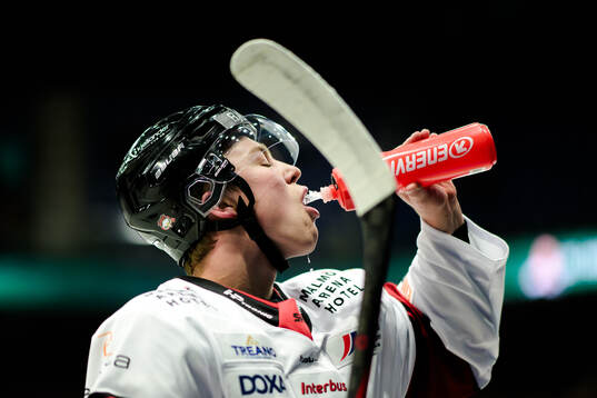 Malmö Redhawks Petter Vesterheim